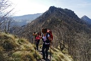 Monte Suchello (1541 m) da Aviatico (1080 m) il 13 aprile 2015  - FOTOGALLERY